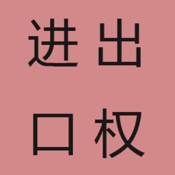 上海企业办理进出口权及货物进出口的完整指南与代办服务解析