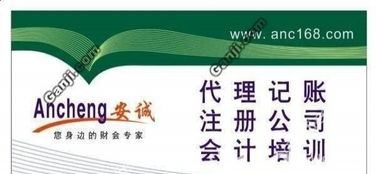 蜀山井岗路企业一站式财税服务指南 代理记账、进出口权及审计变更全解析